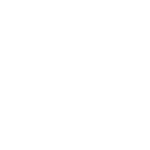 Portfolio Slide Logodesign mindflower music record label