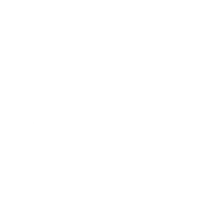 Portfolio Slide Logodesign subgroove music record label