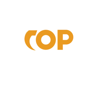 Portfolio Slide Logodesign top transfer leipzig