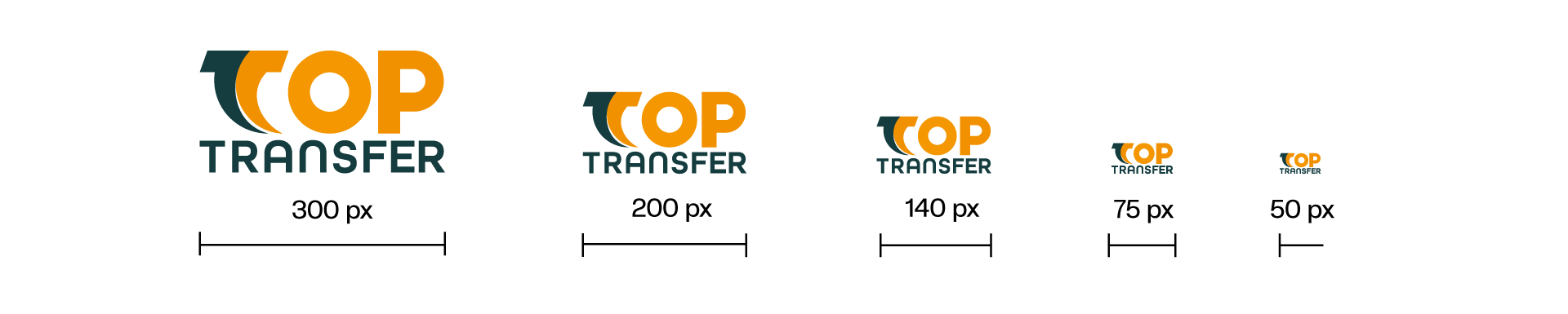 Portfolio Logodesign TopTransfer Logo Size